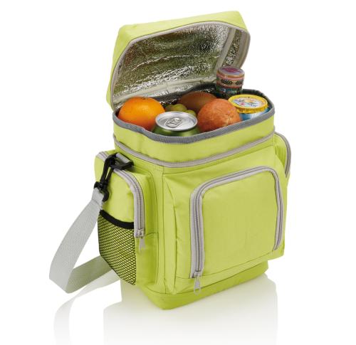 Deluxe travel cooler bag