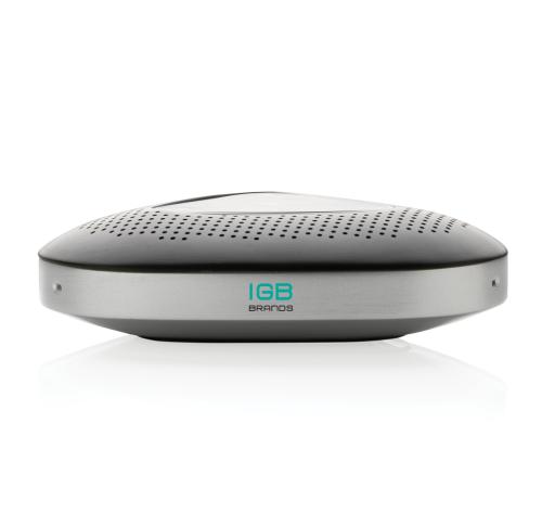 Conference call speaker