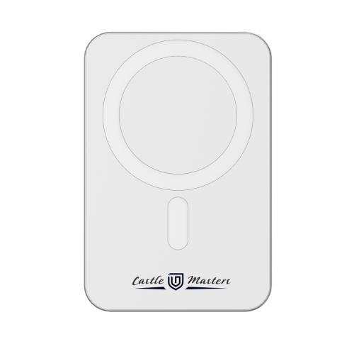 Urban Vitamin Richmond RCS plastic/alu 5000mah powerbank Silver