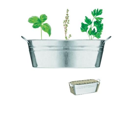 Zinc Plant Tub Selection Of 3 Herbs