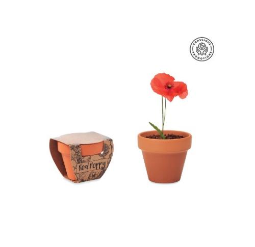 Custom Tiny Terracotta Pots Indoor / Outdoor Garden - Poppy
