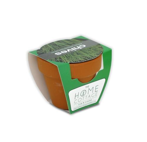 Green & Good Tiny Terracotta Pot