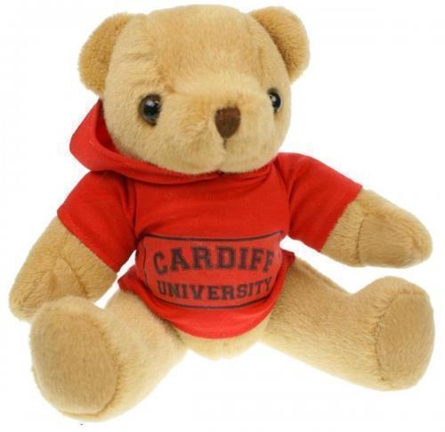 Honey Soft Plush Teddy Bear 20cm Branded Hoody
