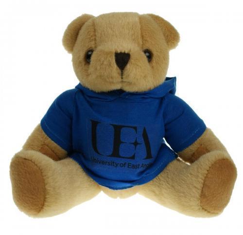 Honey Soft Plush Teddy Bear 20cm Printed Hoody