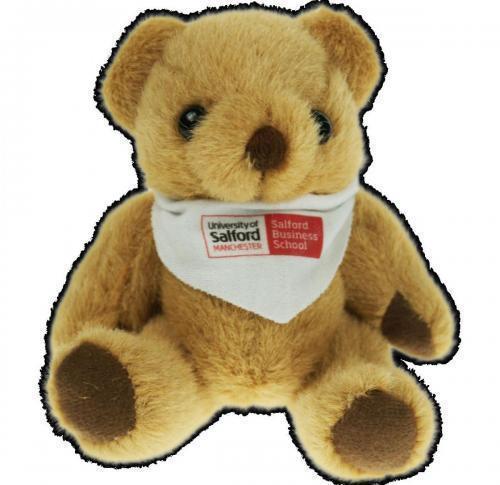 Bandana Bear 13cm T-Shirt