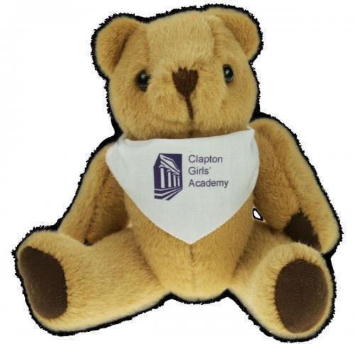 Bandana Bear 20cm T-Shirt