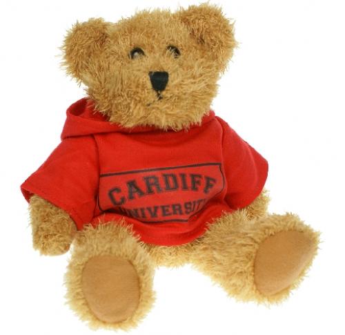 Custom Printed Sparkie Bears 20cm Hoody