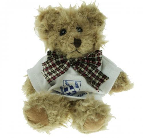 Branded Windsor Bear 15cm T-shirt