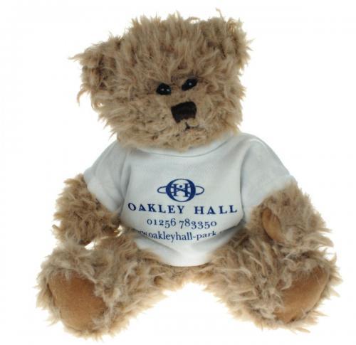20cm teddy bear with logo -t-shirt - Windsor