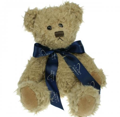 Promotional Bow Teddy Bear 25cms