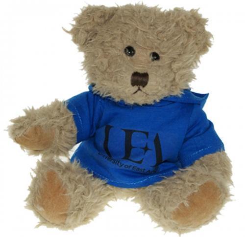 Printed Teddy Bear 25cm Hoody Windsor 