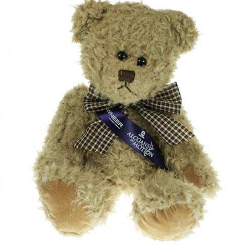 35cm Sash Teddy Bear Windsor