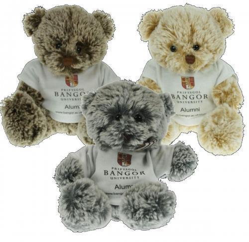 15cm Teddy bears with Logo T-shirts