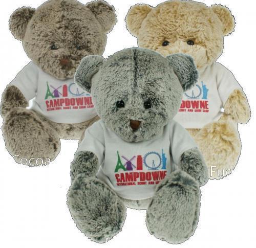 Personalised 25cm Teddy Bears With Logo T-shirts
