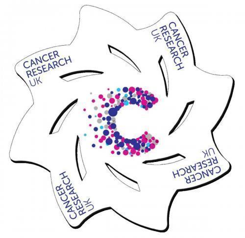 Foam Chuckaroo Flyer