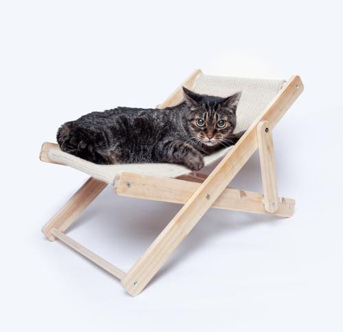 Wooden Pets Deck Chair