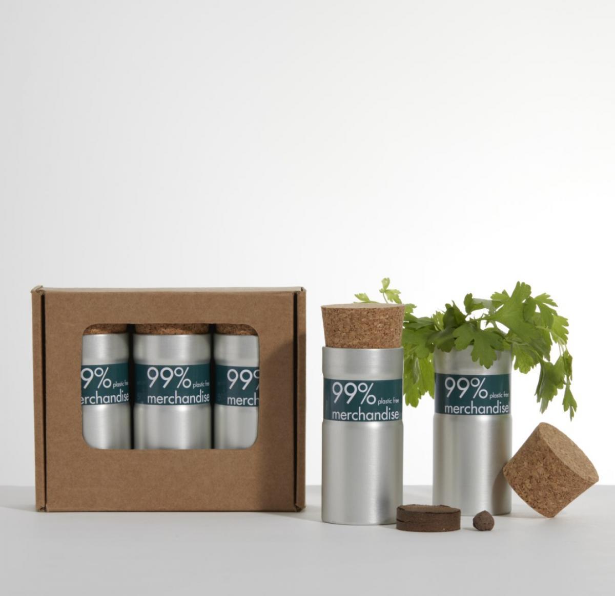 Desktop Garden - Box Of Three - Bee Mix - Silver