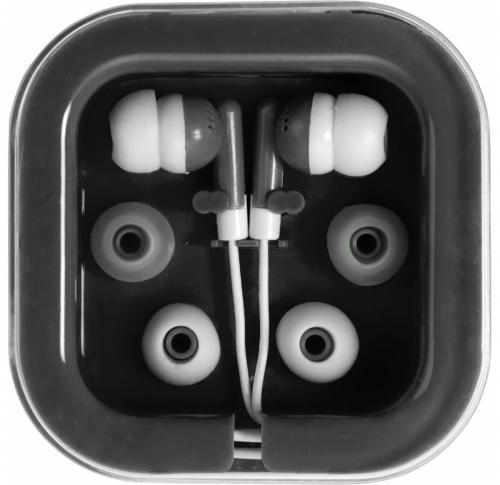 Pair Of Earphones in Plastic Case