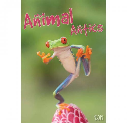 Printed Logo Wall Calendars 2025 Animal Antics 