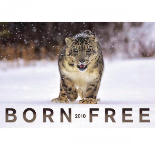 Born Free Wall Calendar 2025