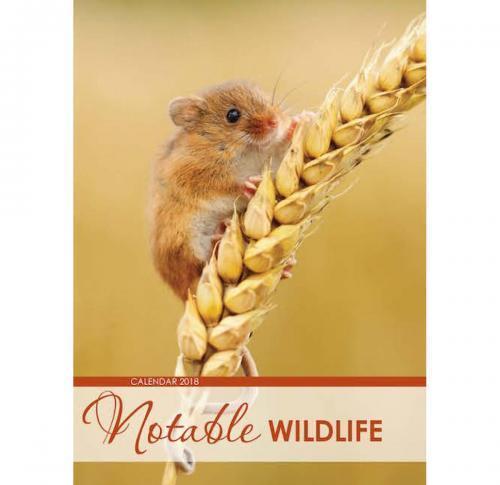 Notable Wildlife Wall Calendar 2025