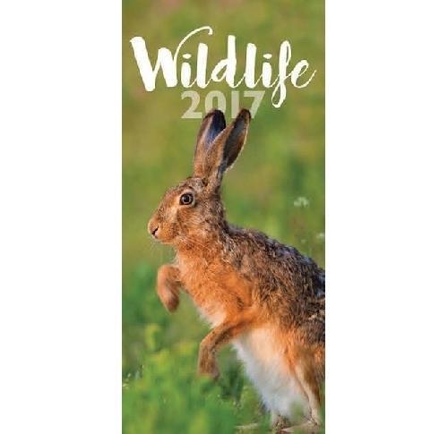 Wildlife Slim Wall Calendars 2025