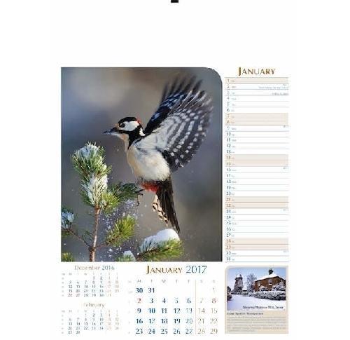Notable Wildlife Wall Calendar 2025