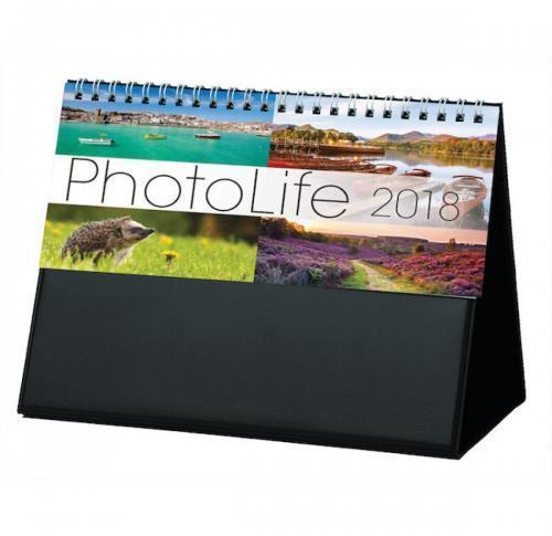 Business Printed 2025 Photolife Desk Calendars