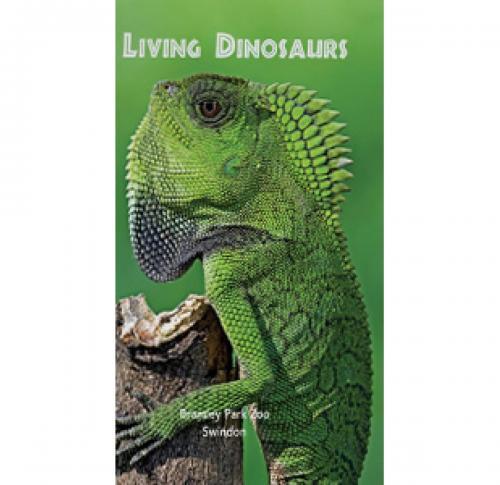 Custom Logo 4 Colour Small Weekly Pocket Diaries 2025