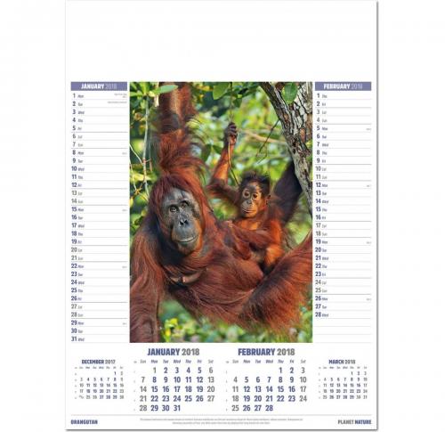 2025 Wall Calendars Planet Nature Printed Logo 