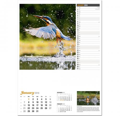 Custom Printed Wildlife In Britain Wall Calendars 2025