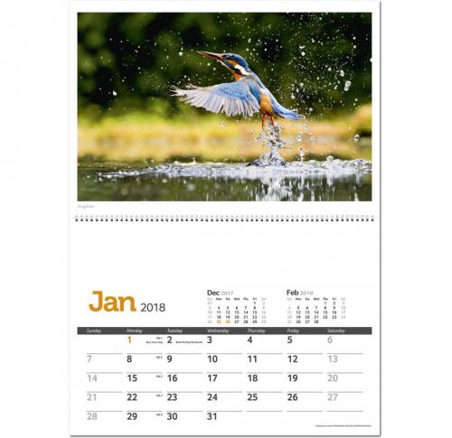 Printed Wildlife In Britain Wall Calendars 2025