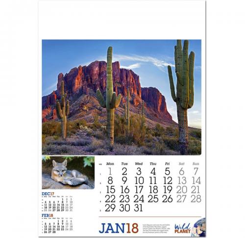 Custom Printed Wild Planet Wall Calendars 2025   NEW