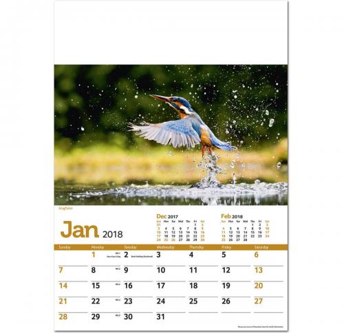 Corporate Branded Wildlife Memo Desk Calendars 2025