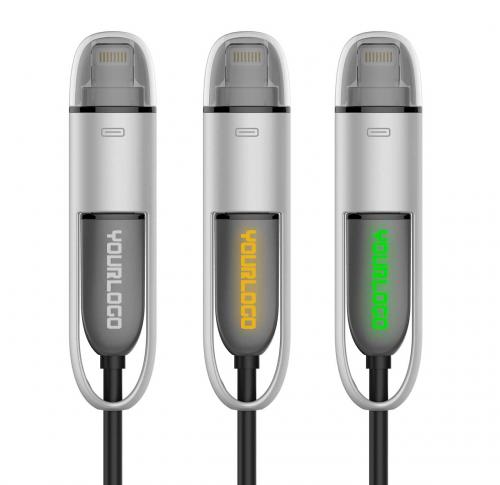 LogoCharge MFI - silver