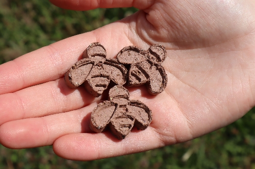 Custom Printed Bee-Shaped Seed Balls - 16 Wildflower Seed Varieties