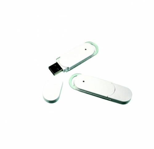 Promotional Fender2 USB FlashDrive                            